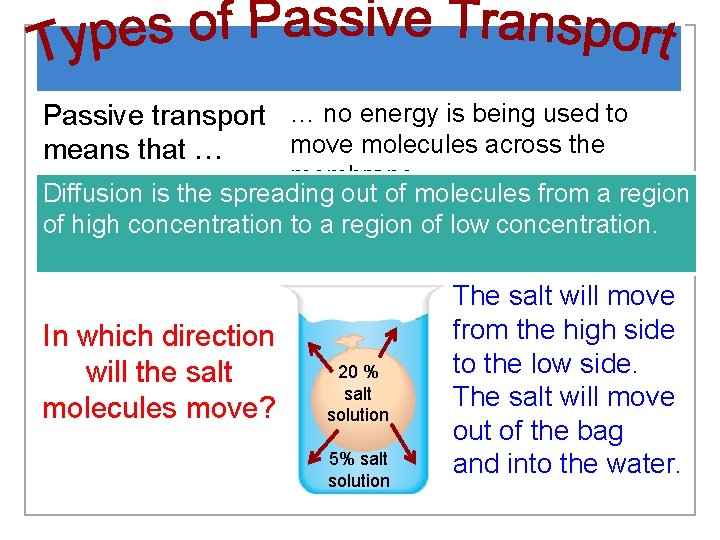 Passive transport … no energy is being used to move molecules across the means