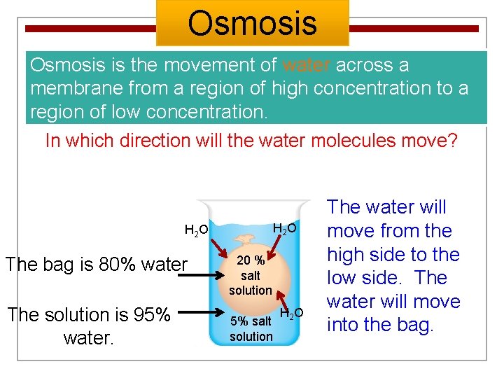 Osmosis is the movement of water across a membrane from a region of high