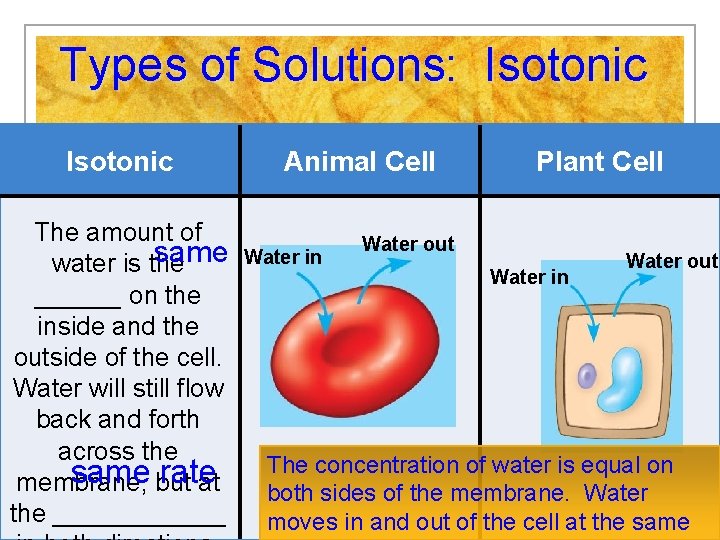 Types of Solutions: Isotonic The amount of same water is the ______ on the