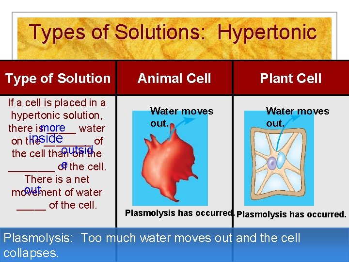 Types of Solutions: Hypertonic Type of Solution If a cell is placed in a