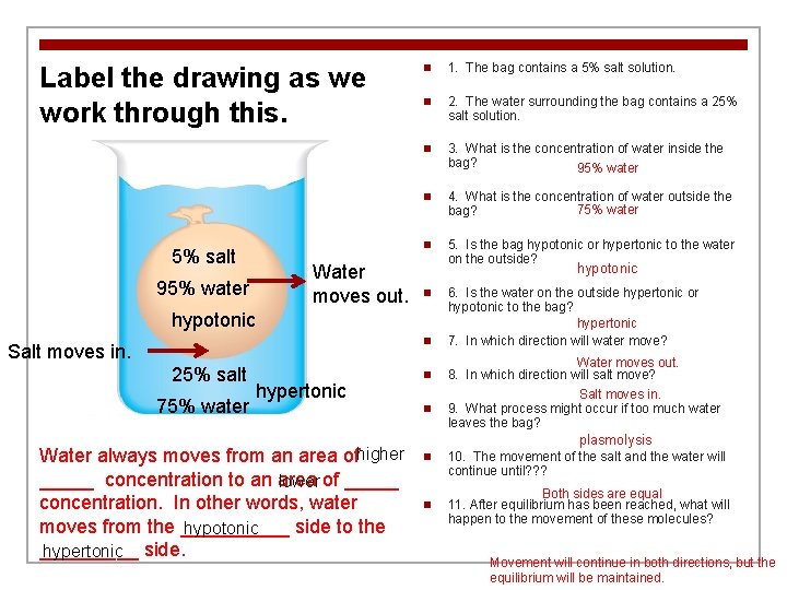 Label the drawing as we work through this. 5% salt Water moves out. 95%