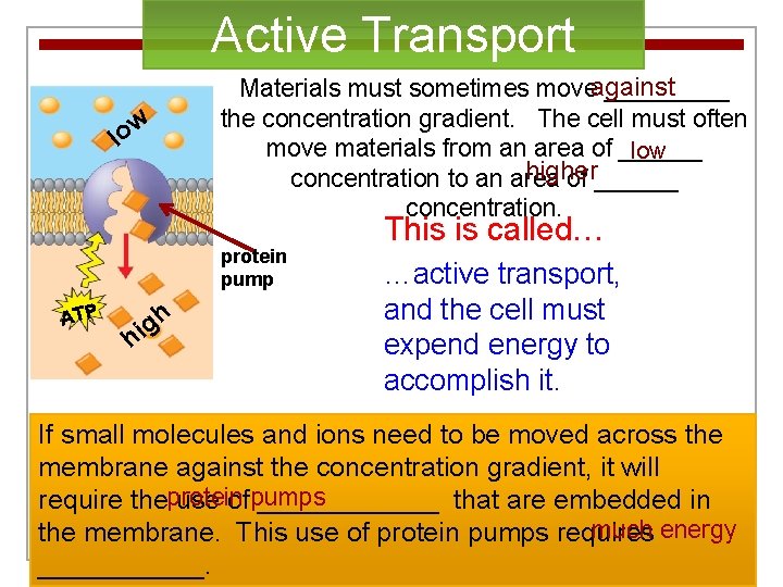 Active Transport Materials must sometimes moveagainst _____ the concentration gradient. The cell must often