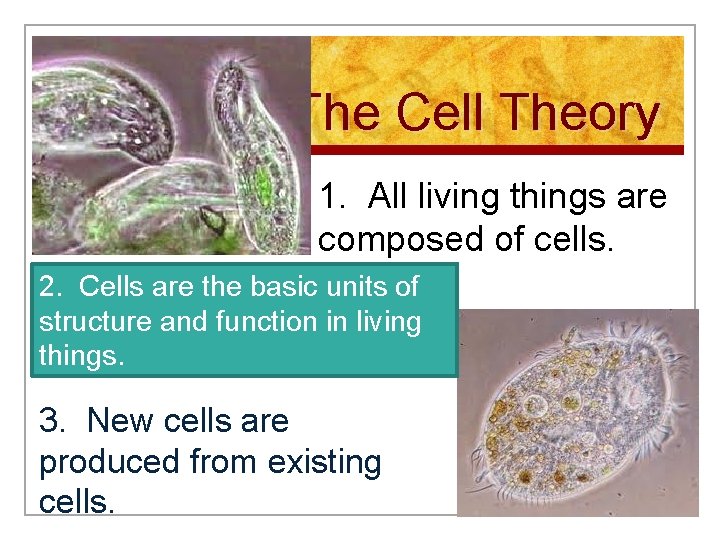 The Cell Theory 1. All living things are composed of cells. 2. Cells are