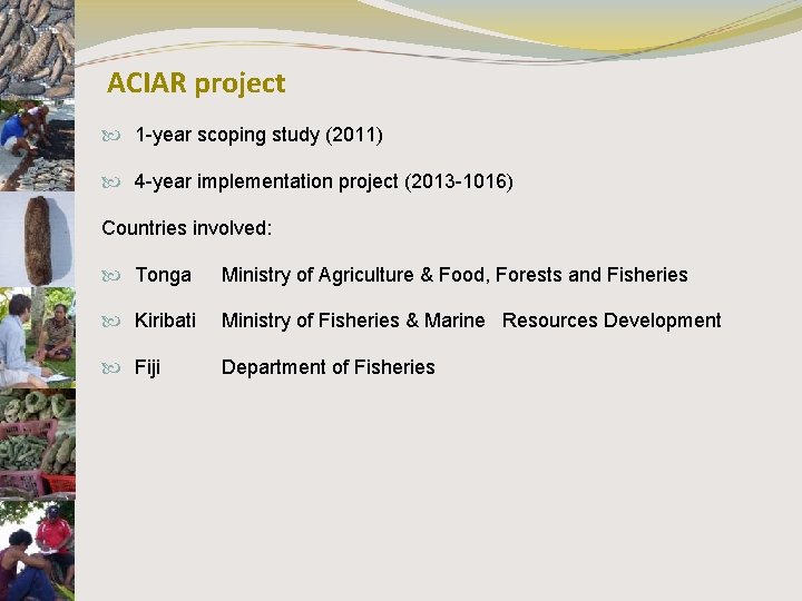 ACIAR project 1 -year scoping study (2011) 4 -year implementation project (2013 -1016) Countries