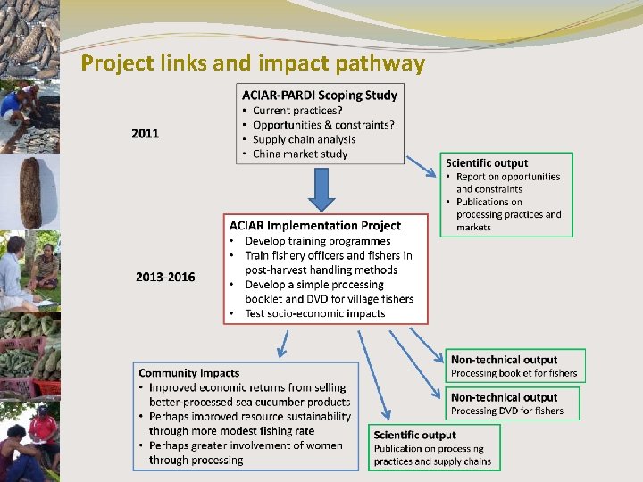 Project links and impact pathway 