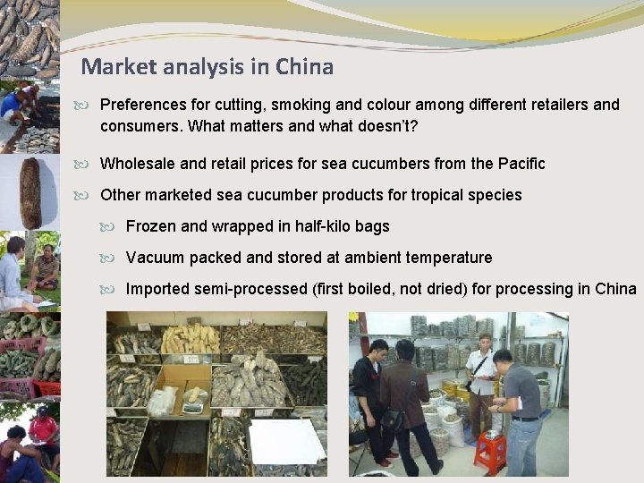 Market analysis in China Preferences for cutting, smoking and colour among different retailers and