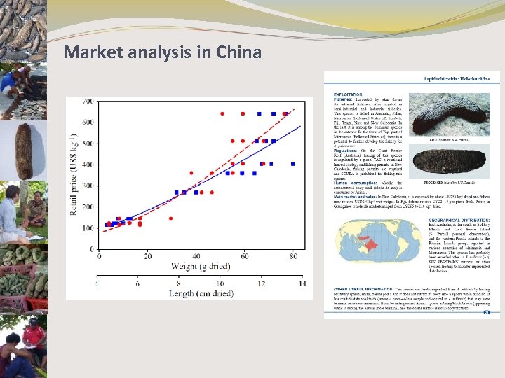 Market analysis in China 