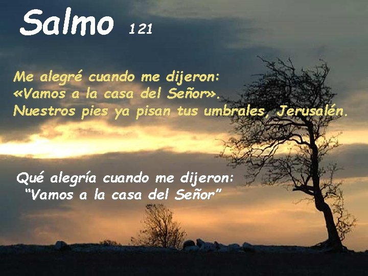 Salmo 121 Me alegré cuando me dijeron: «Vamos a la casa del Señor» .