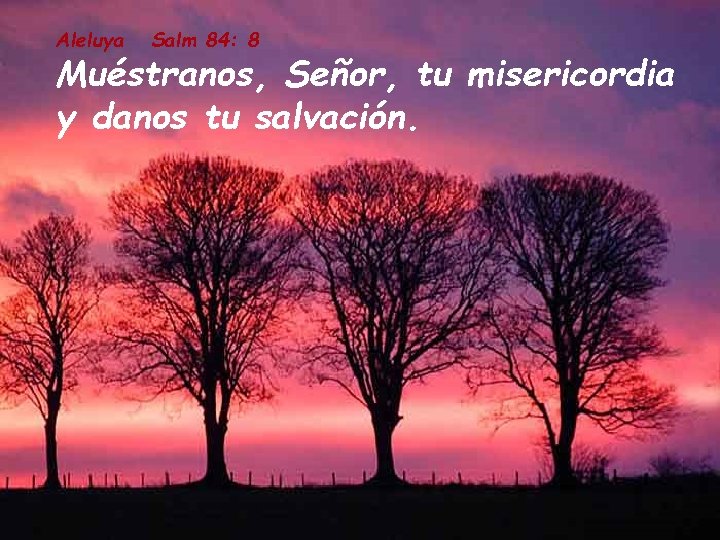 Aleluya Salm 84: 8 Muéstranos, Señor, tu misericordia y danos tu salvación. 