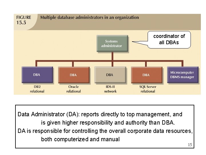 coordinator of all DBAs Data Administrator (DA): reports directly to top management, and is