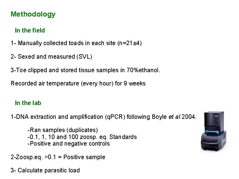 Methodology In the field 1 - Manually collected toads in each site (n=21± 4)