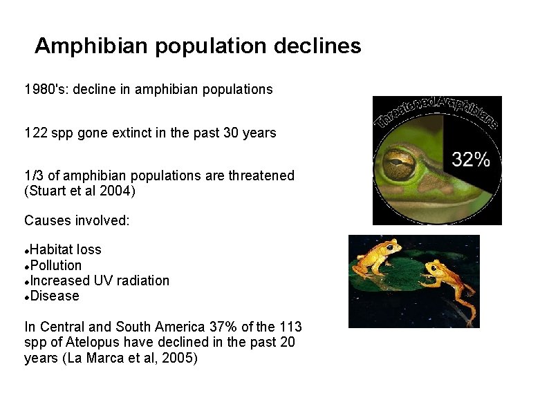Amphibian population declines 1980's: decline in amphibian populations 122 spp gone extinct in the