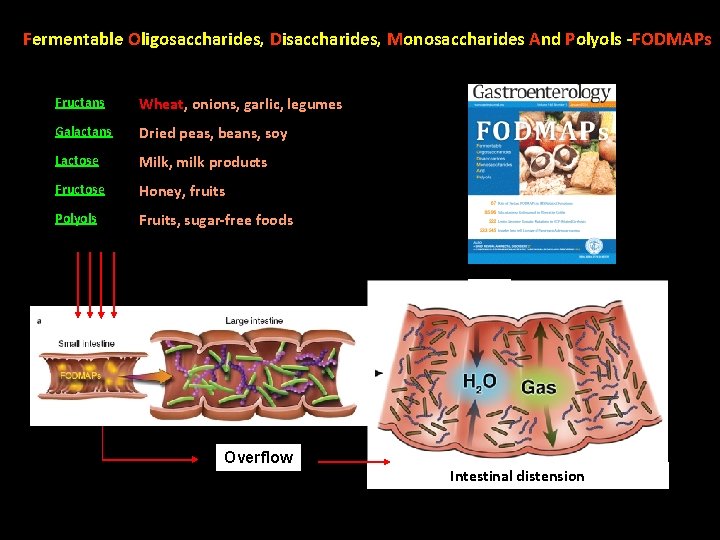 Fermentable Oligosaccharides, Disaccharides, Monosaccharides And Polyols -FODMAPs Fructans Wheat, onions, garlic, legumes Galactans Dried