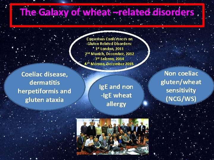 The Galaxy of wheat –related disorders Consensus Conferences on Gluten Related Disorders: 1 st