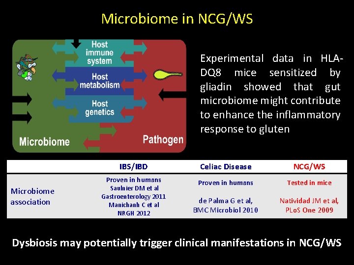 Microbiome in NCG/WS Experimental data in HLADQ 8 mice sensitized by gliadin showed that