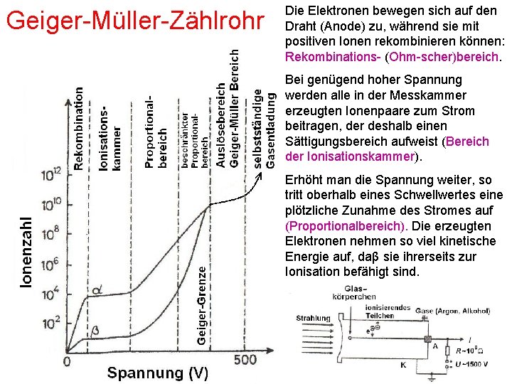 Geiger-Müller-Zählrohr Die Elektronen bewegen sich auf den Draht (Anode) zu, während sie mit positiven