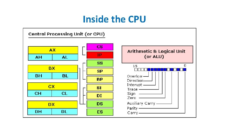 Inside the CPU Inside the CPU