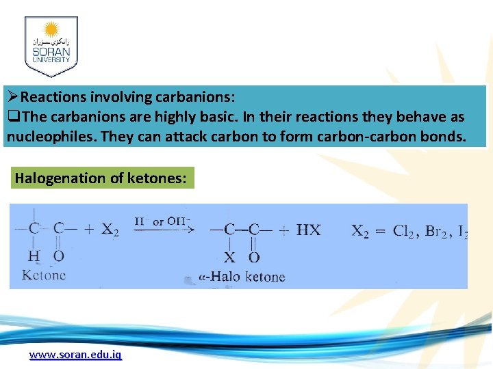 ØReactions involving carbanions: q. The carbanions are highly basic. In their reactions they behave