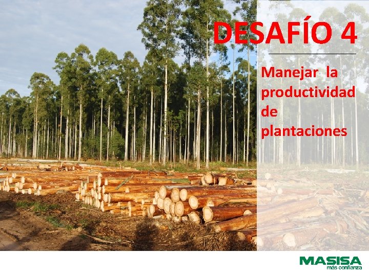 DESAFÍO 4 Manejar la productividad de plantaciones 