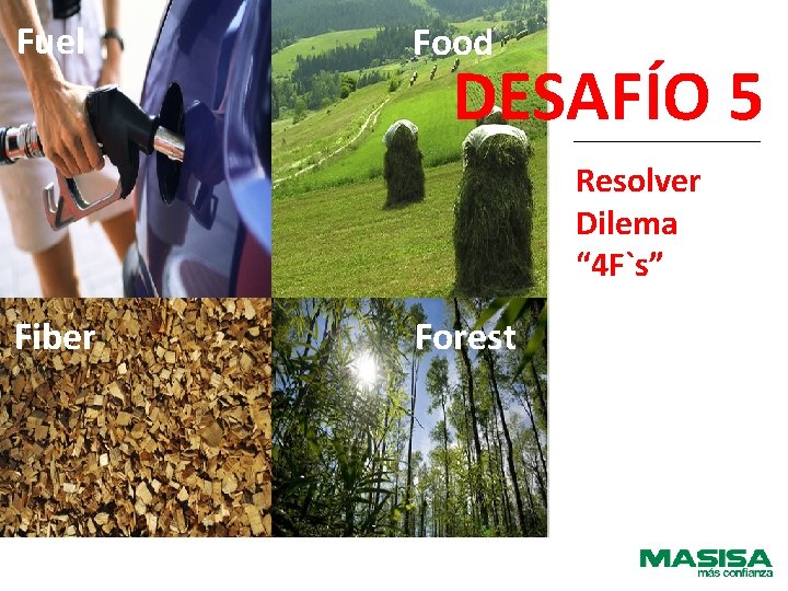 Fuel Food DESAFÍO 5 Resolver Dilema “ 4 F`s” Fiber Forest 