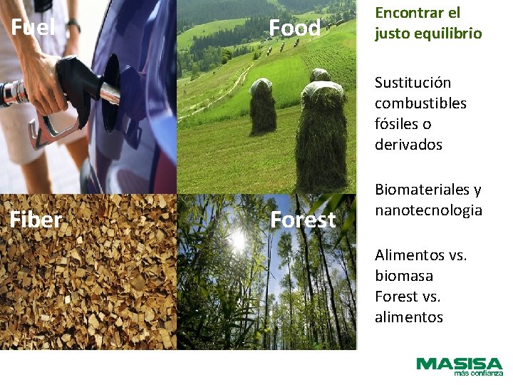 Fuel Food Encontrar el justo equilibrio Sustitución combustibles fósiles o derivados Fiber Forest Biomateriales