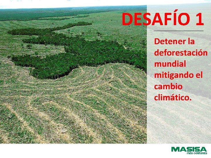 DESAFÍO 1 Detener la deforestación mundial mitigando el cambio climático. 