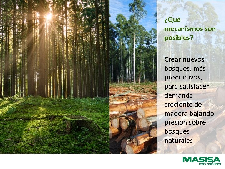 ¿Qué mecanismos son posibles? Crear nuevos bosques, más productivos, para satisfacer demanda creciente de