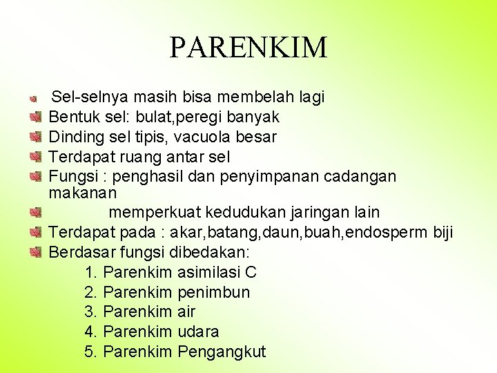 PARENKIM Sel-selnya masih bisa membelah lagi Bentuk sel: bulat, peregi banyak Dinding sel tipis,