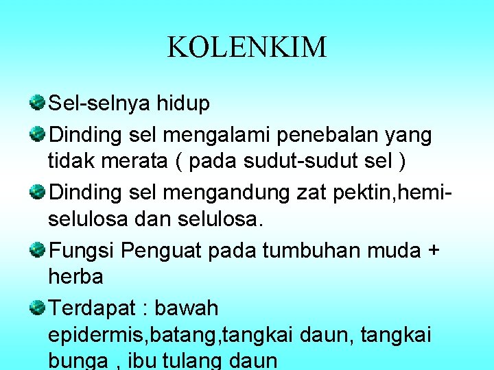 KOLENKIM Sel-selnya hidup Dinding sel mengalami penebalan yang tidak merata ( pada sudut-sudut sel