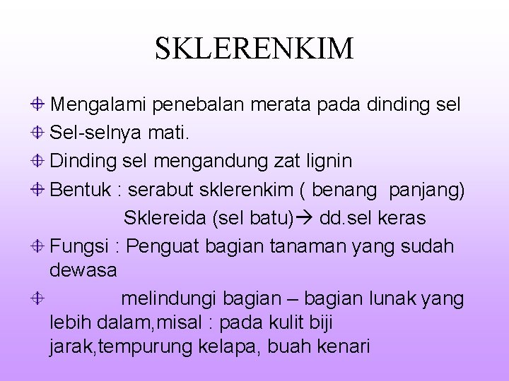 SKLERENKIM Mengalami penebalan merata pada dinding sel Sel-selnya mati. Dinding sel mengandung zat lignin