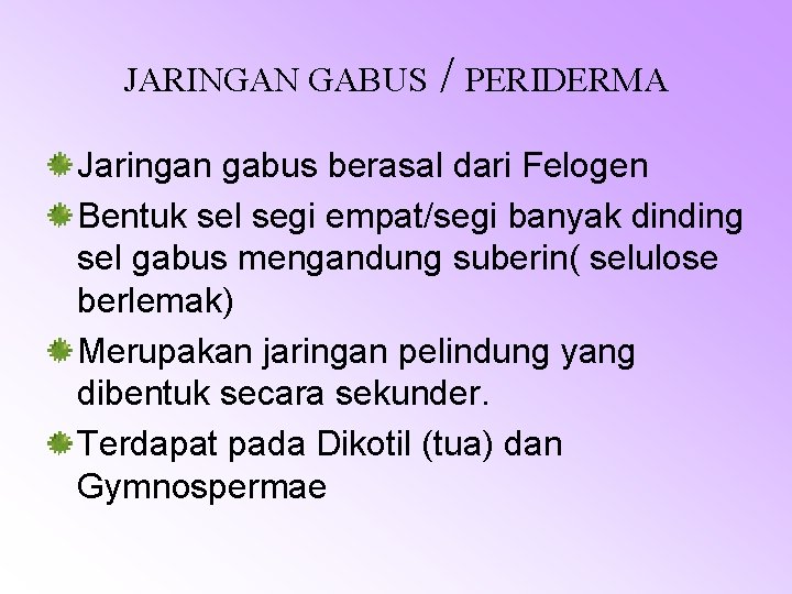 JARINGAN GABUS / PERIDERMA Jaringan gabus berasal dari Felogen Bentuk sel segi empat/segi banyak