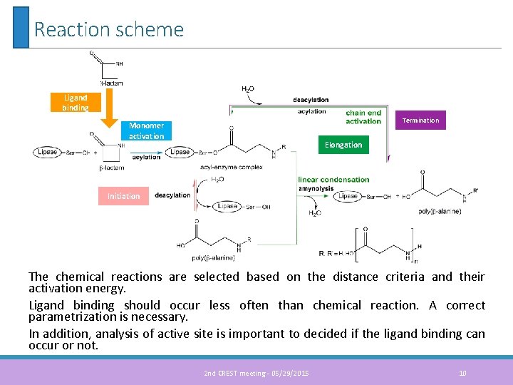 Reaction scheme Ligand binding Termination Monomer activation Elongation Initiation The chemical reactions are selected