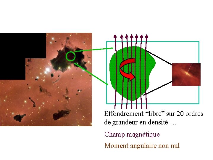 Effondrement “libre” sur 20 ordres de grandeur en densité … Champ magnétique Moment angulaire