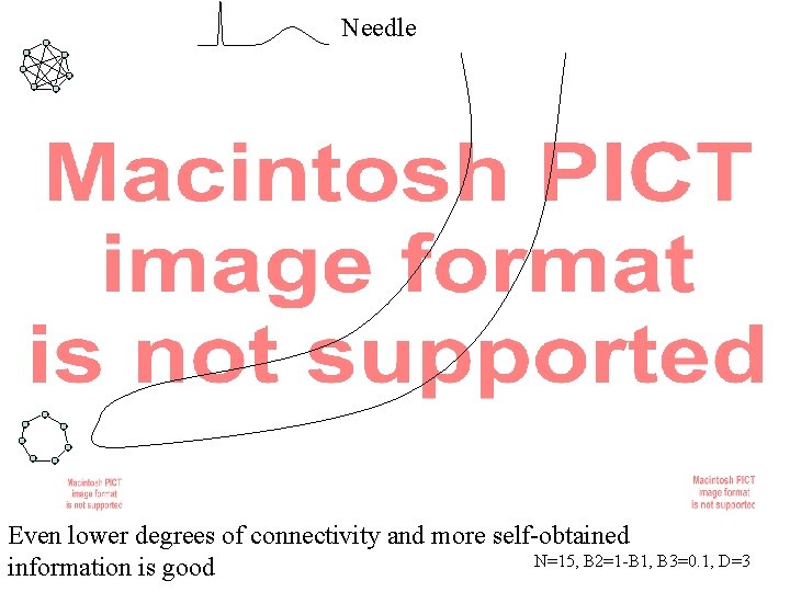 Needle Even lower degrees of connectivity and more self-obtained N=15, B 2=1 -B 1,