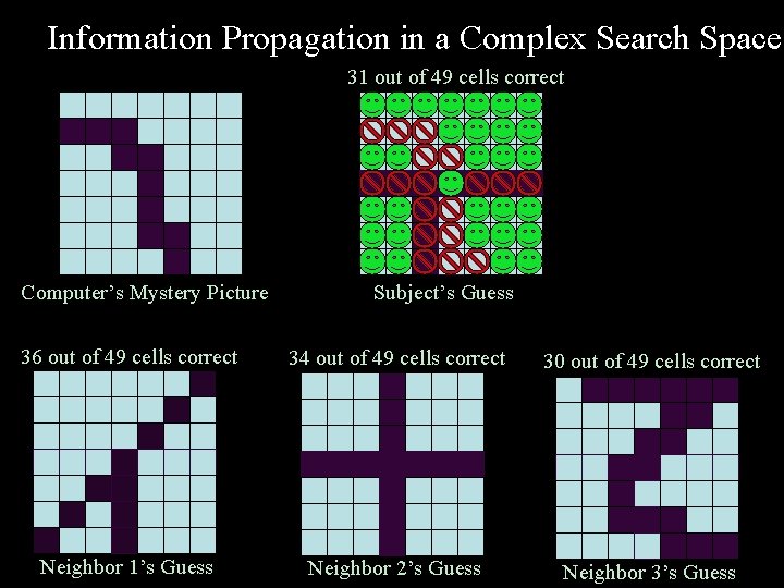 Information Propagation in a Complex Search Space 31 out of 49 cells correct Computer’s