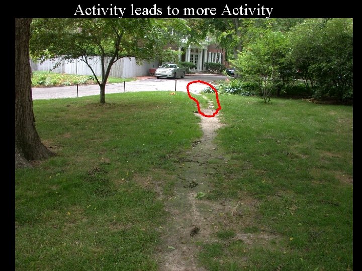 Activity leads to more Activity 