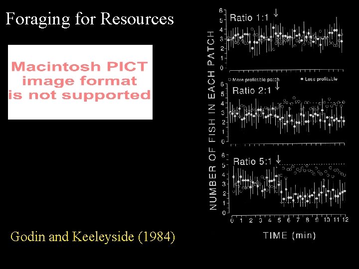 Foraging for Resources Godin and Keeleyside (1984) 