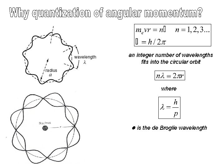 an integer number of wavelengths fits into the circular orbit where l is the