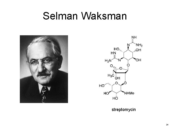 Selman Waksman streptomycin 24 