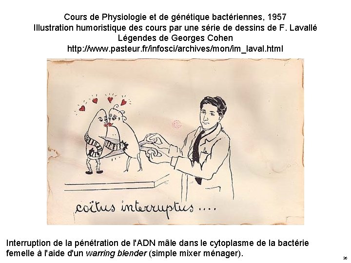 Cours de Physiologie et de génétique bactériennes, 1957 Illustration humoristique des cours par une