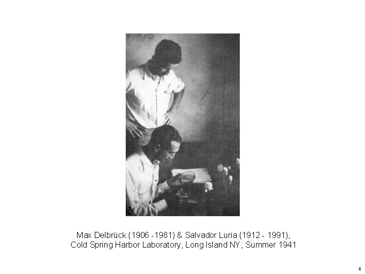 Max Delbrück (1906 -1981) & Salvador Luria (1912 - 1991), Cold Spring Harbor Laboratory,