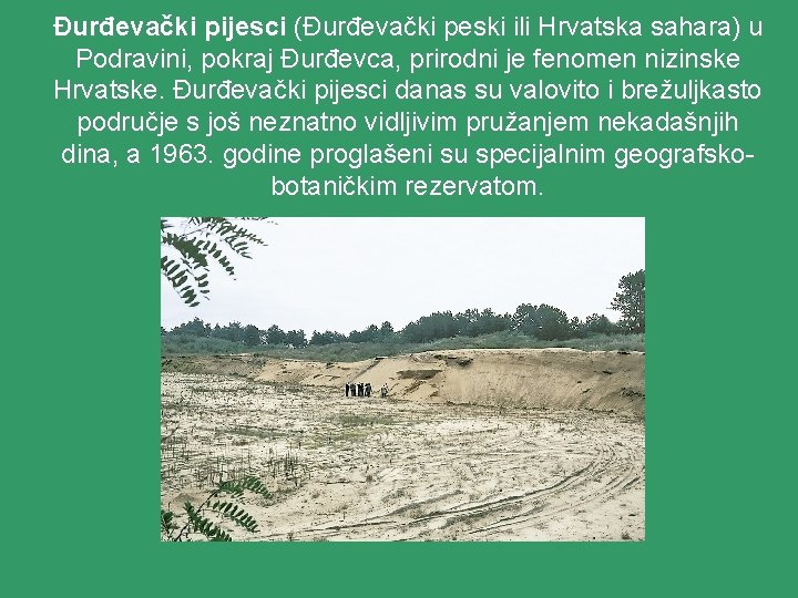 Đurđevački pijesci (Đurđevački peski ili Hrvatska sahara) u Podravini, pokraj Đurđevca, prirodni je fenomen