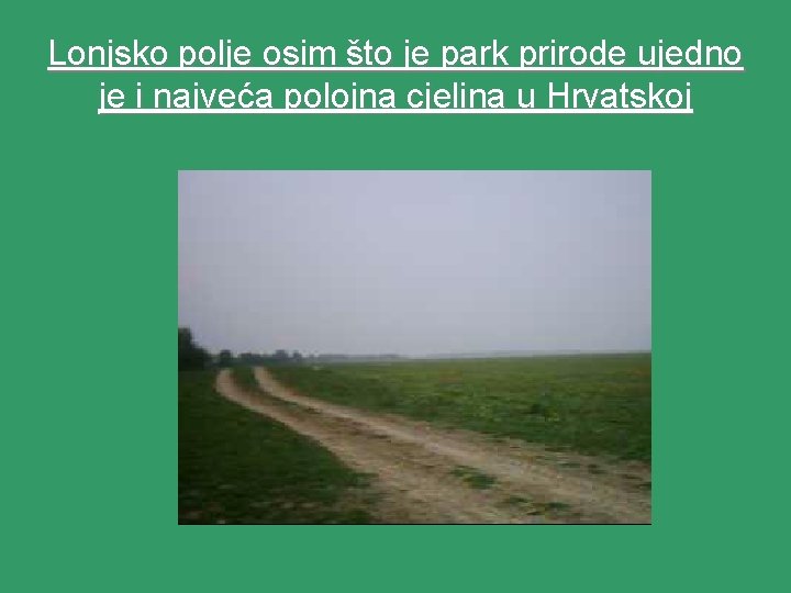 Lonjsko polje osim što je park prirode ujedno je i najveća polojna cjelina u