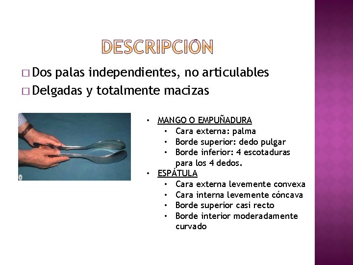 � Dos palas independientes, no articulables � Delgadas y totalmente macizas • MANGO O