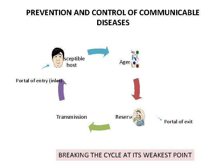PREVENTION AND CONTROL OF COMMUNICABLE DISEASES Susceptible host Agent Portal of entry (inlet) Transmission