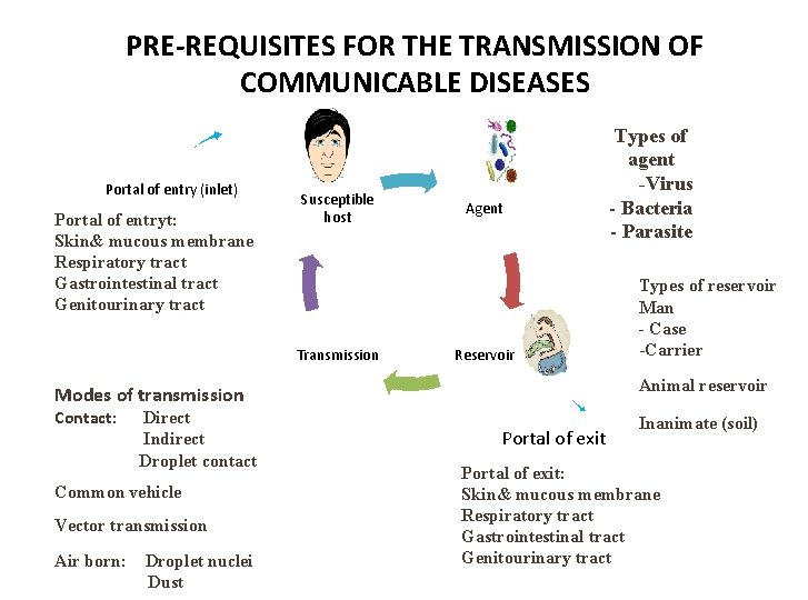 PRE-REQUISITES FOR THE TRANSMISSION OF COMMUNICABLE DISEASES Portal of entry (inlet) Portal of entryt: