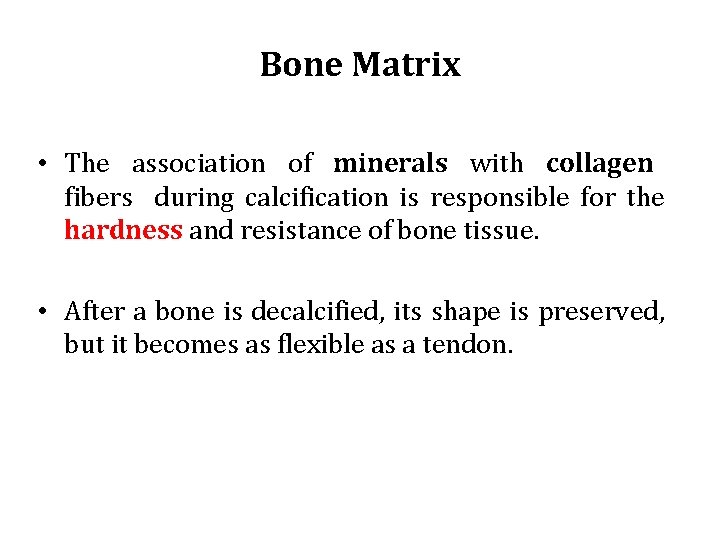 Bone Matrix • The association of minerals with collagen fibers during calcification is responsible