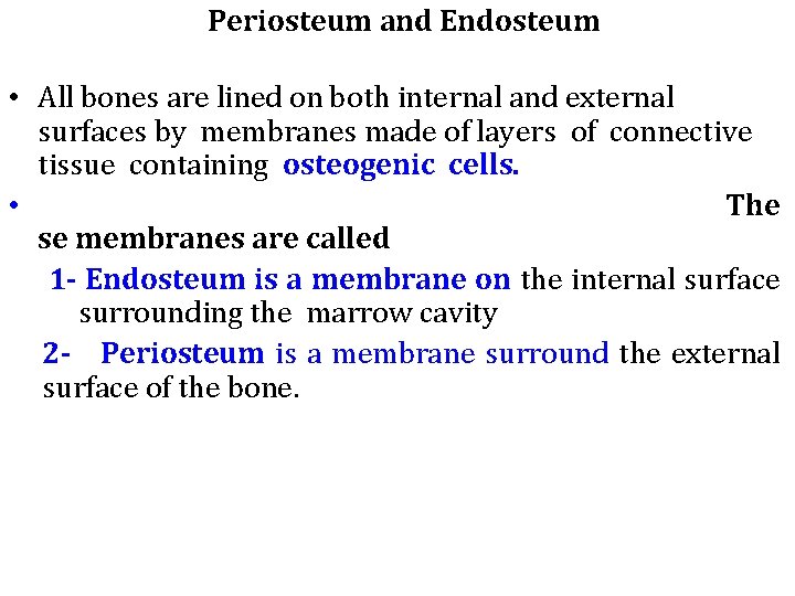 Periosteum and Endosteum • All bones are lined on both internal and external surfaces