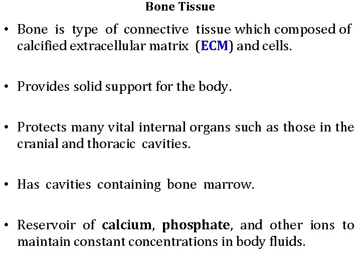 Bone Tissue • Bone is type of connective tissue which composed of calcified extracellular