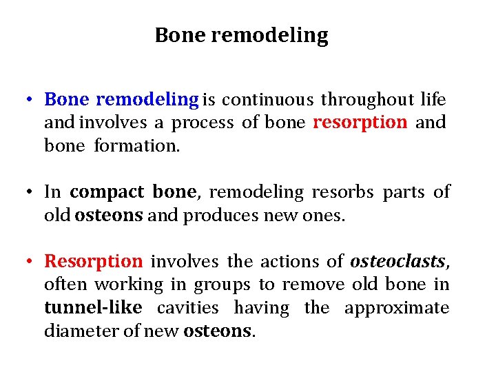 Bone remodeling • Bone remodeling is continuous throughout life and involves a process of